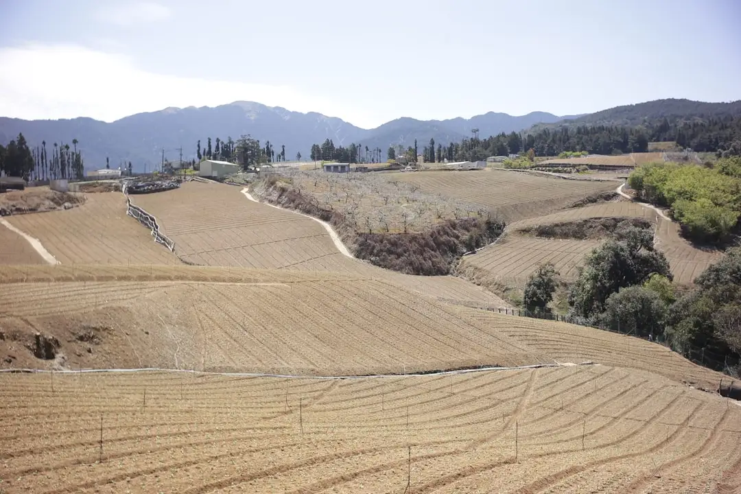 铝合金玻璃隔断在办公空间中的设计应用与优势分析
