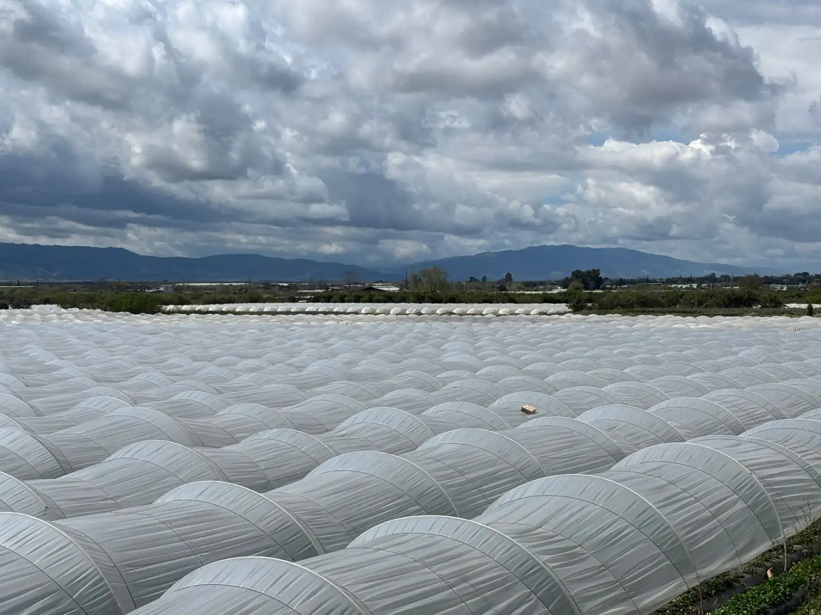 办公空间金属隔断墙选型指南：铝合金框架与玻璃隔断的搭配方案解析